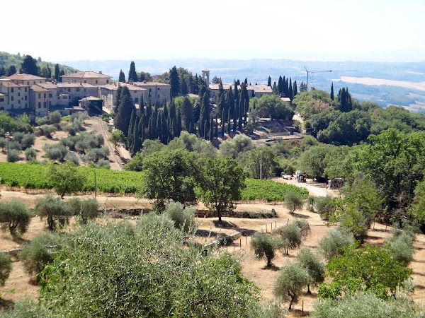 Castellina in Chianti 3
