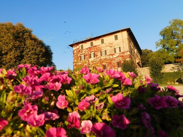 Castellina in Chianti 2
