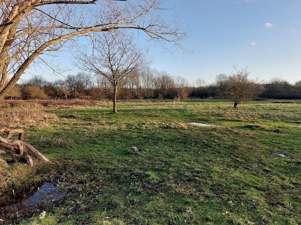 Cary's Meadow
