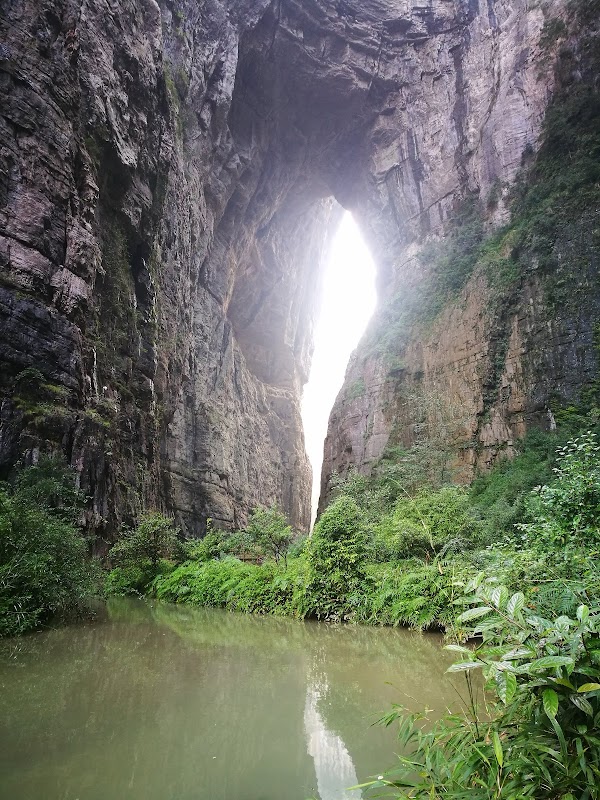 Wulong District