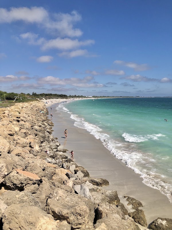 Coogee Beach Eco Net 1