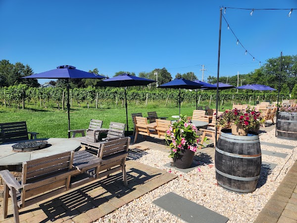 Peconic Bay Vineyards by Krissie Wines 1
