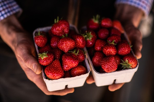 Strawberry Fields Farm shop Lifton 5