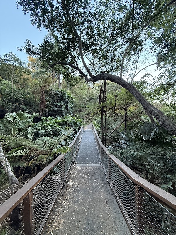 Hunts Lookout 5