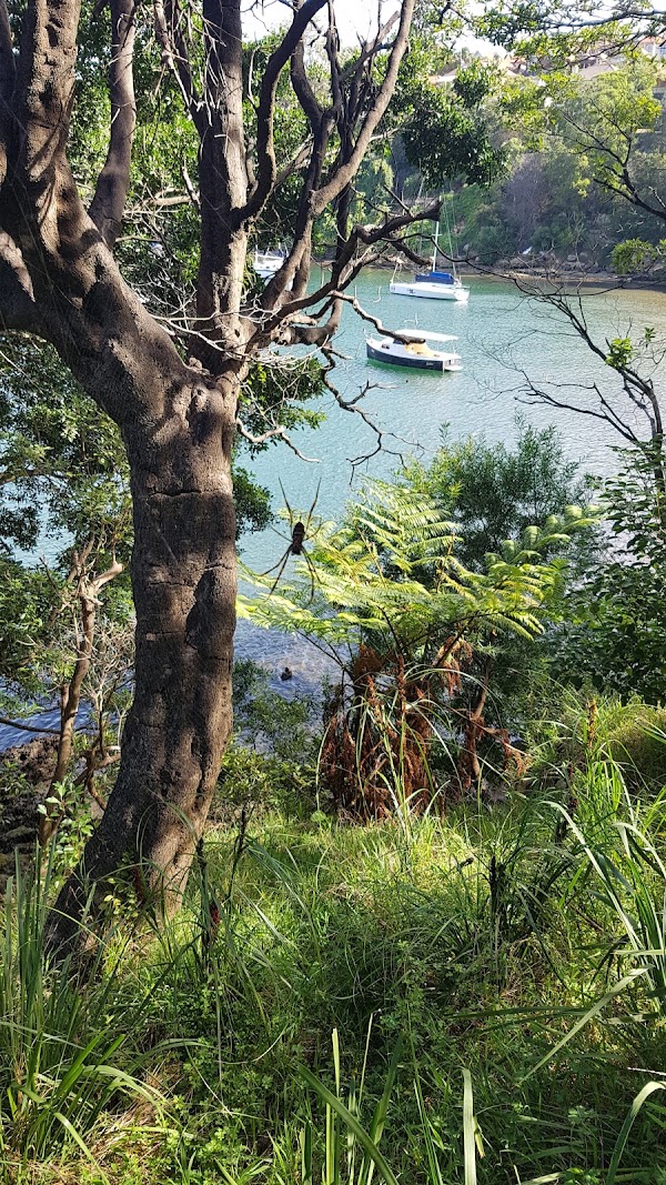 Hunts Lookout 2