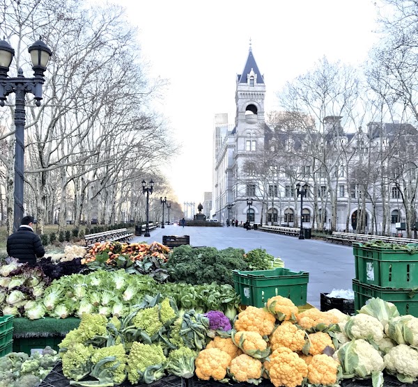 Brooklyn Borough Hall Greenmarket