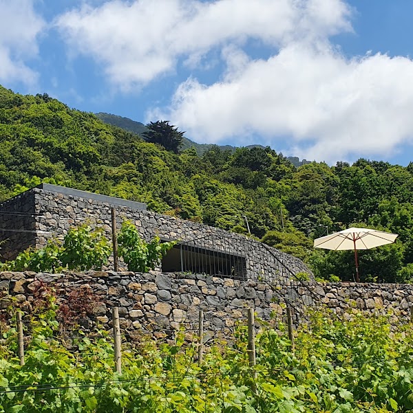Terrabona Nature & Vineyards - Wine Country & Wellness Retreat