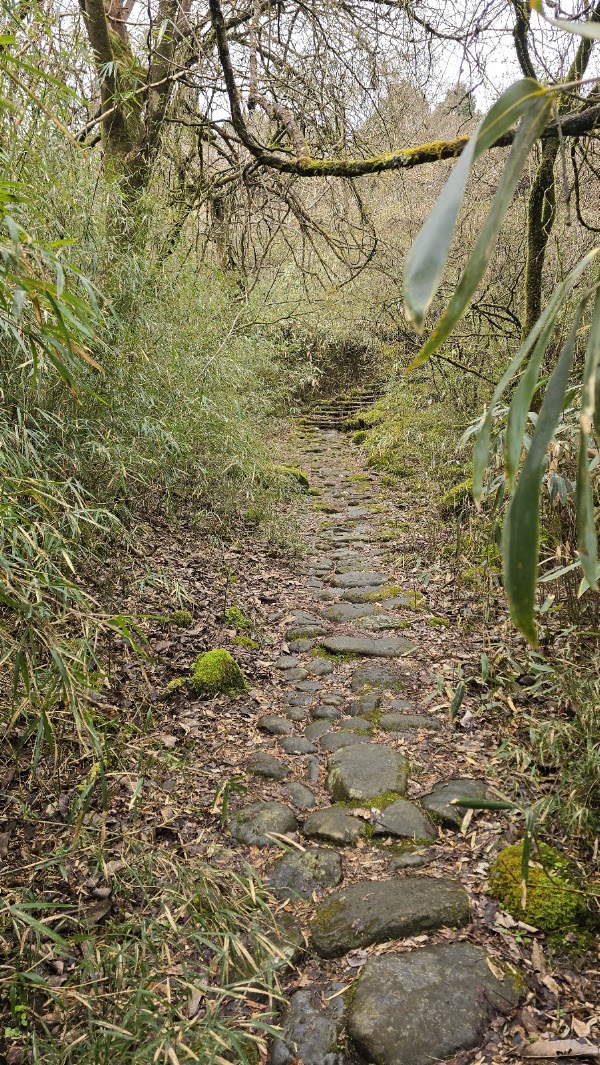 Old Tokaido Road 3