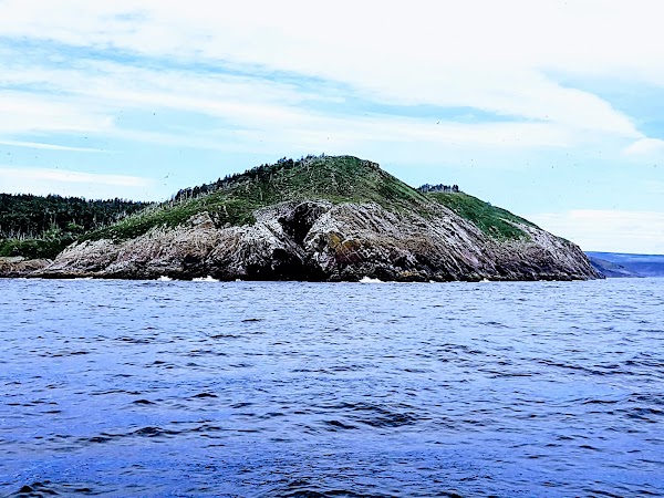 Witless Bay Islands Park Reserve