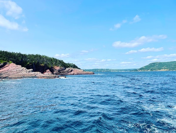 Witless Bay Islands Park Reserve 5