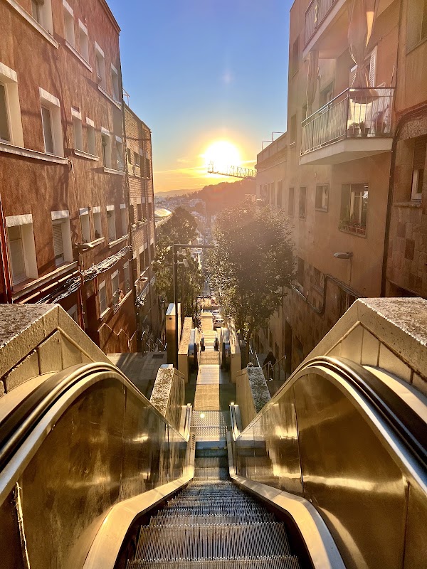 BCN 56