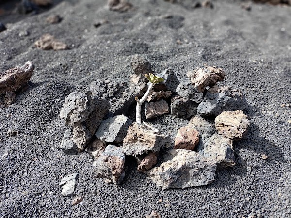 Caldera de Los Cuervos 4