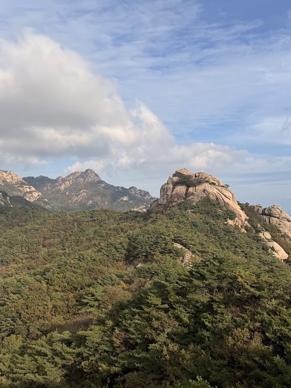 Bibong Information Center 3