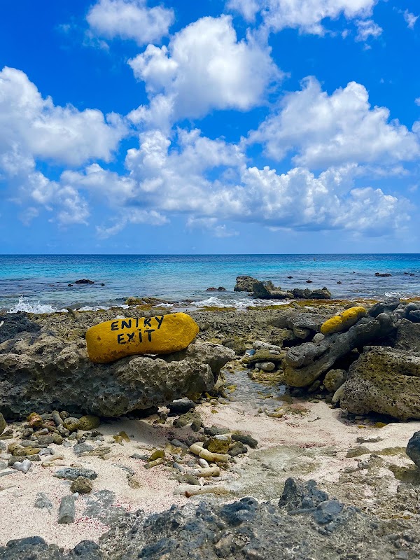Andrea II Dive Site (22)
