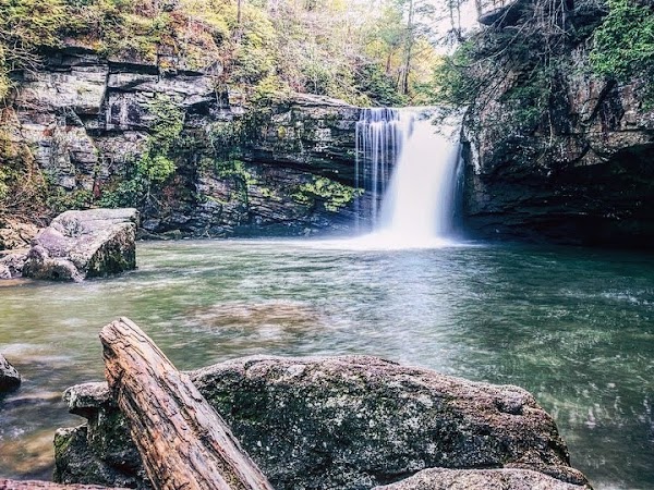 Savage Falls 5