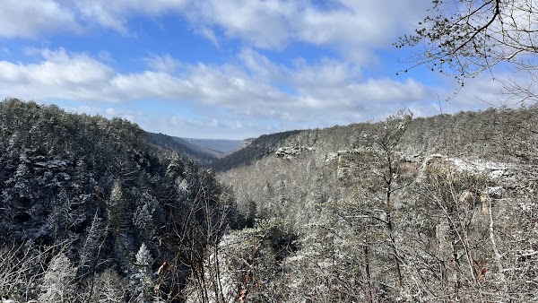 Savage Falls 3