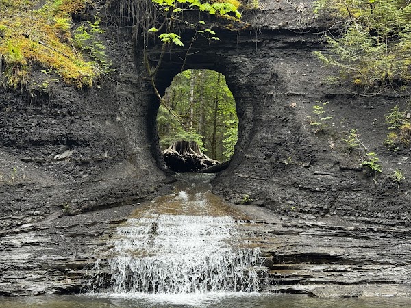 Canada Travel 7