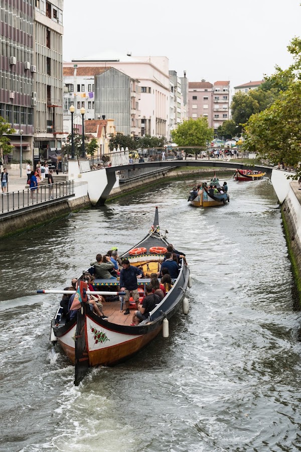 Aveiro 3