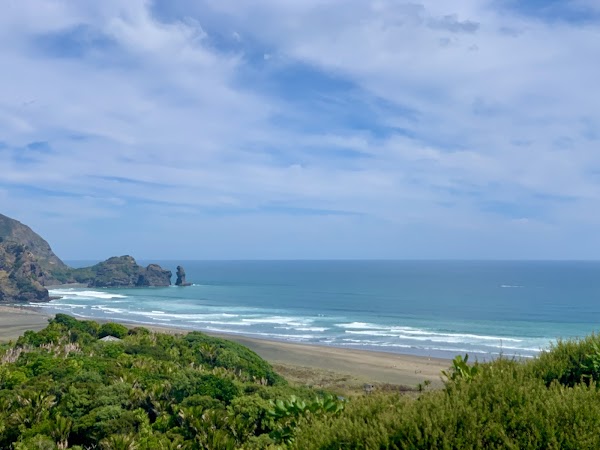 Marawhara Track 5