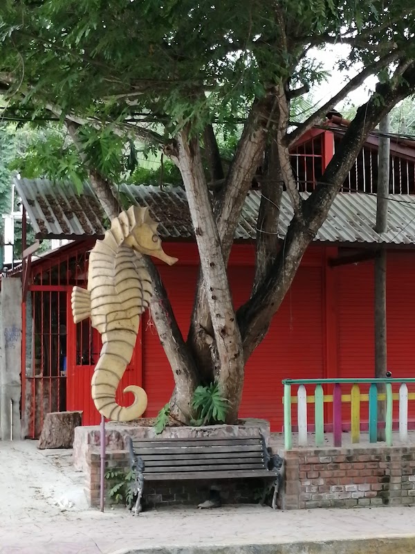 Sayulita 2