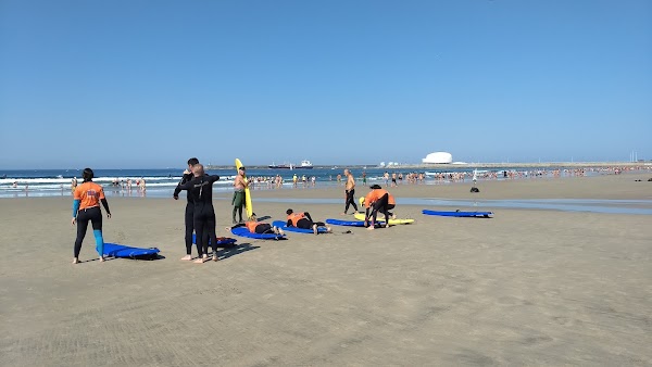 Flower Power Surf School 5