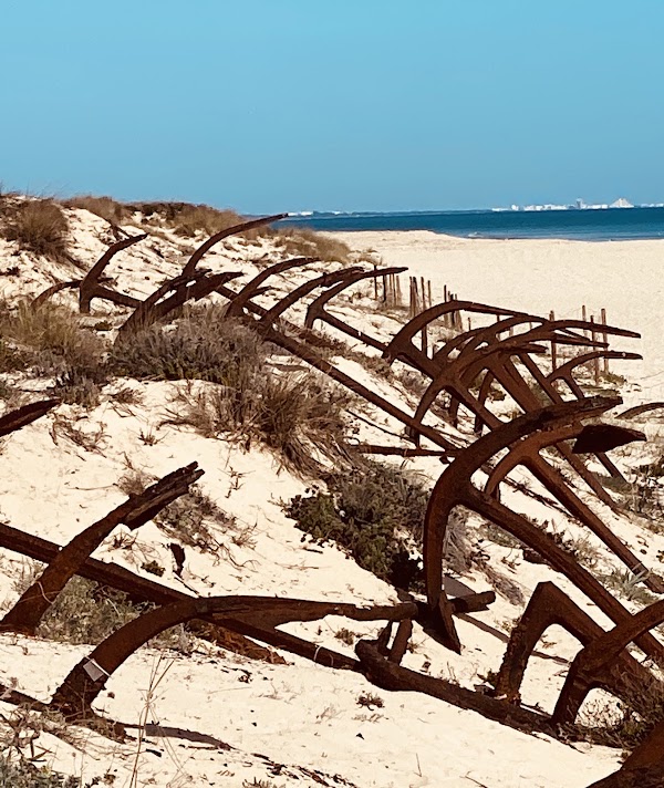 Praia do Barril 4
