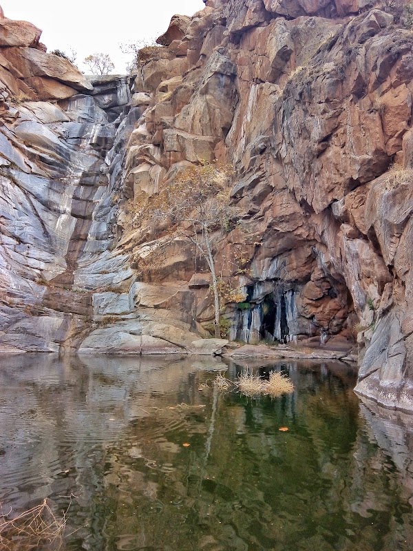 Cedar Creek Falls Trail