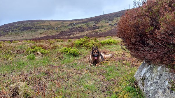 Lough Bray Upper 2