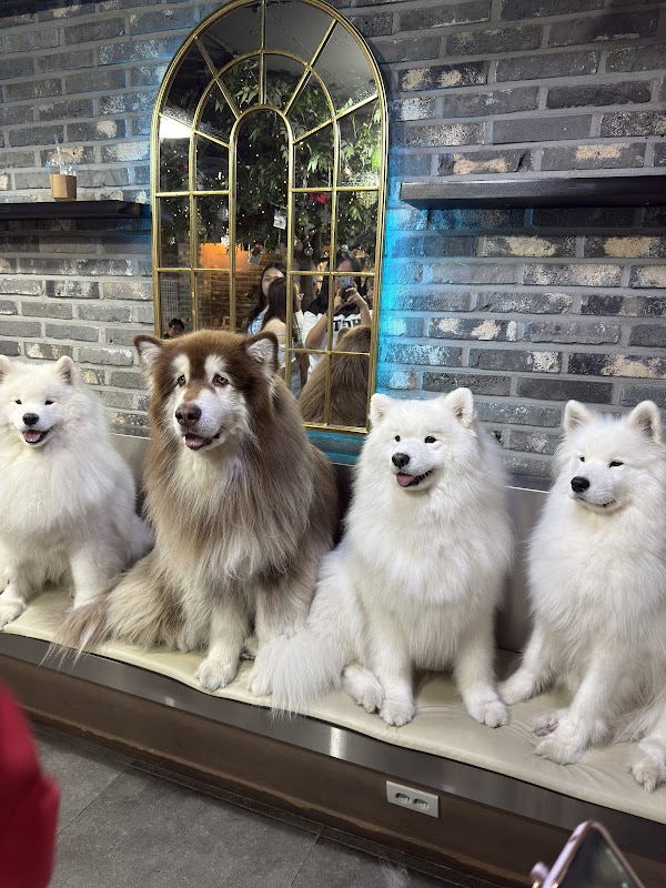 Samoyed Cafe 'Winters Village' 4