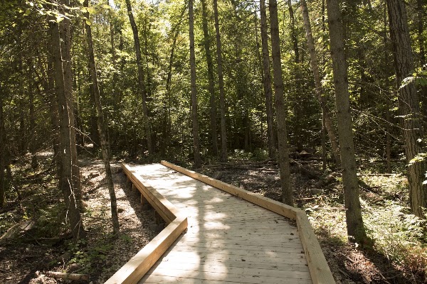 The Nature Preserve at Friday Harbour