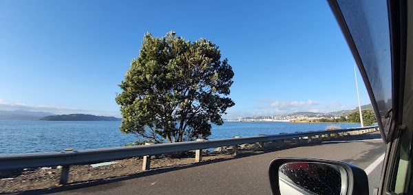Wellington Central 1