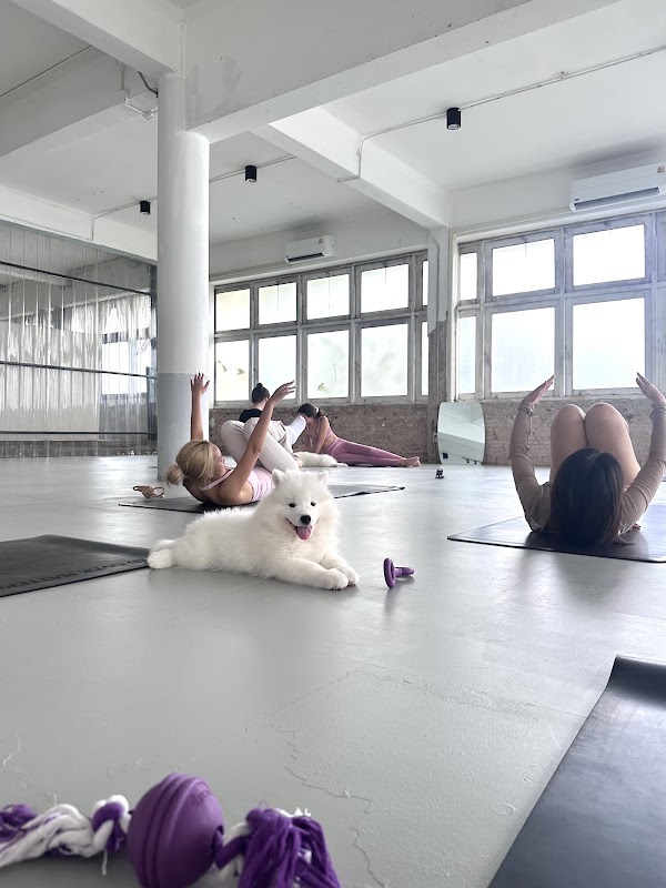 Mind Over Matters - Puppy Yoga & More 1