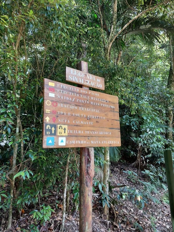 Pico da Tijuca 2