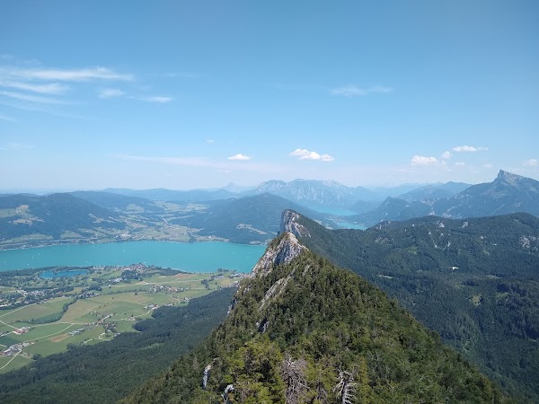 Schober