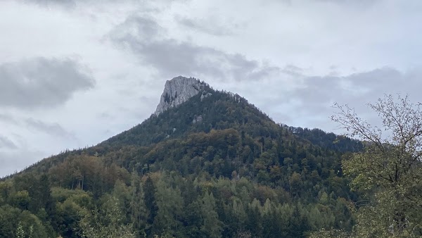 Schober 2