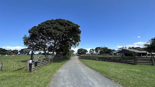 Ambury Regional Park 5
