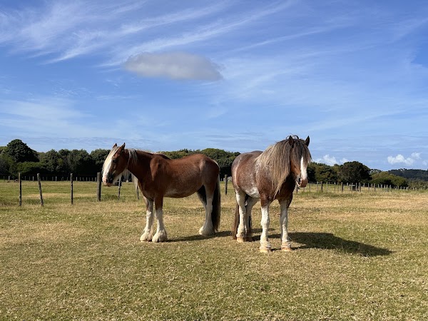 Ambury Regional Park 4