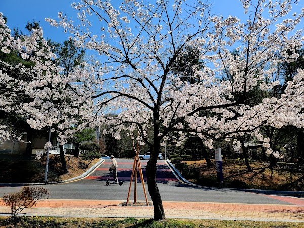 Chungnam National University Daedeok Campus