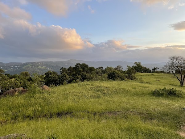 Serra da Cantareira