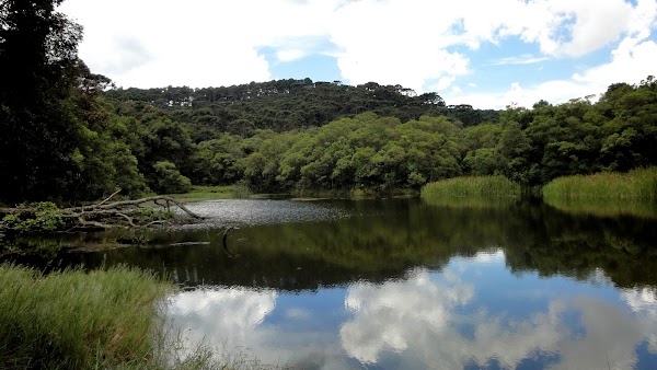 Serra da Cantareira 5