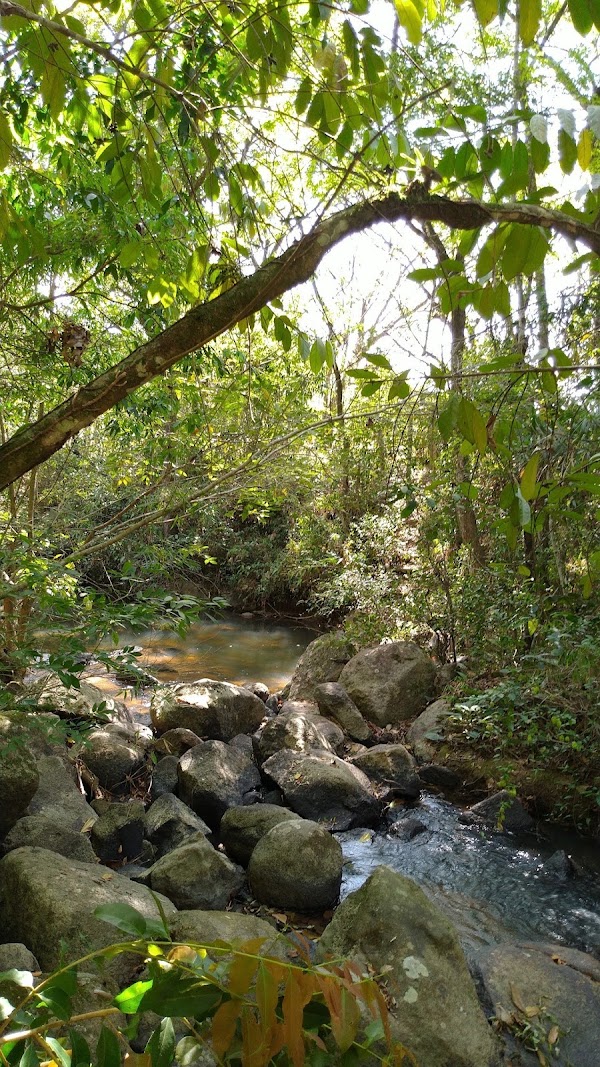 Serra da Cantareira 4