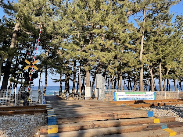 등명해변 3