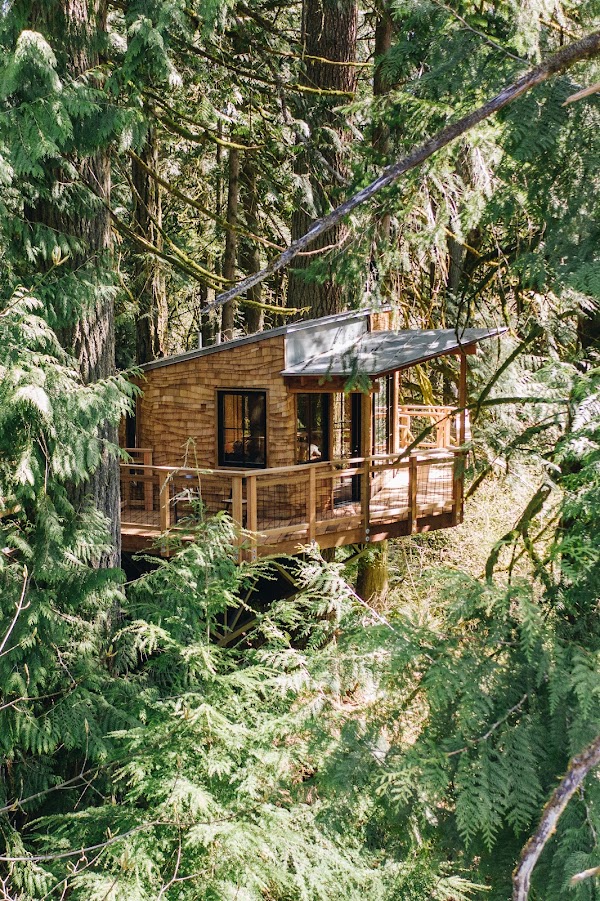 TreeHouse Point 3