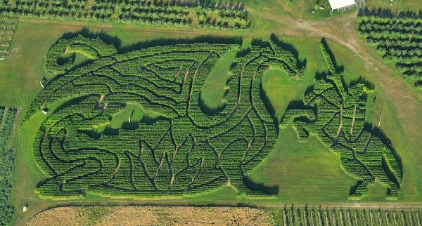 Treworgy Family Orchards