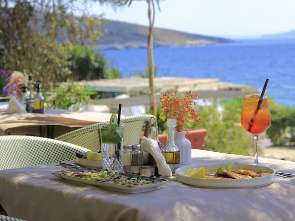 Sophra Restaurant 4