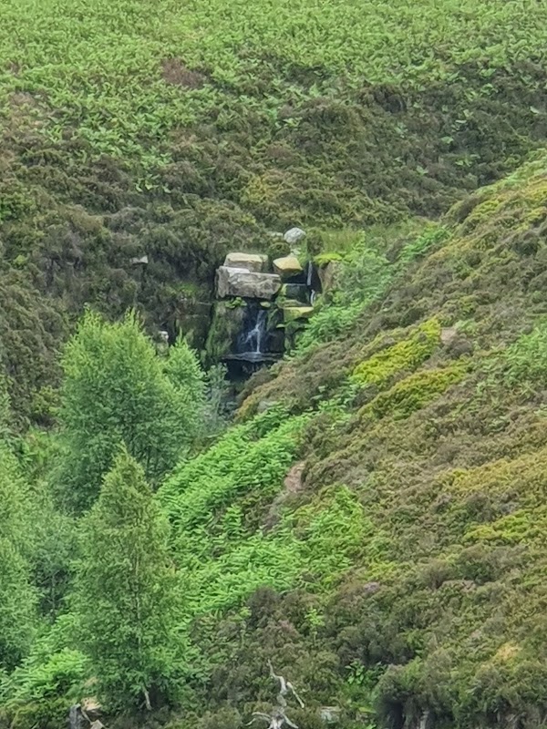 Bronte Waterfall 3