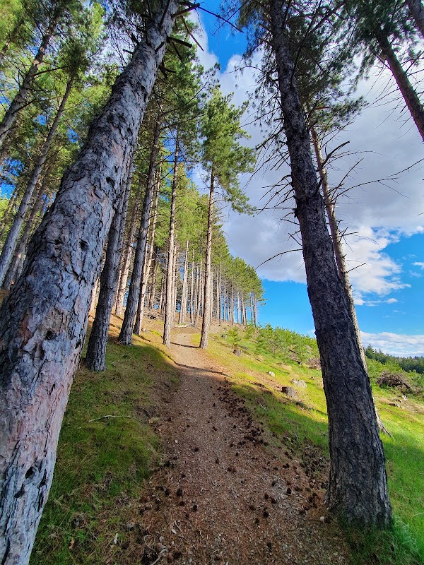 Cowans Hill Walkway 2