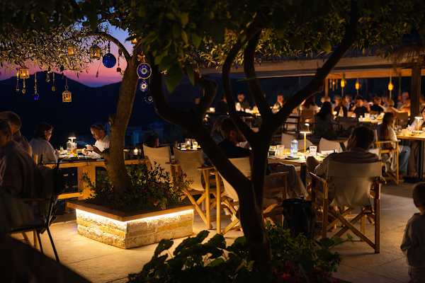 Fig and Olive 1