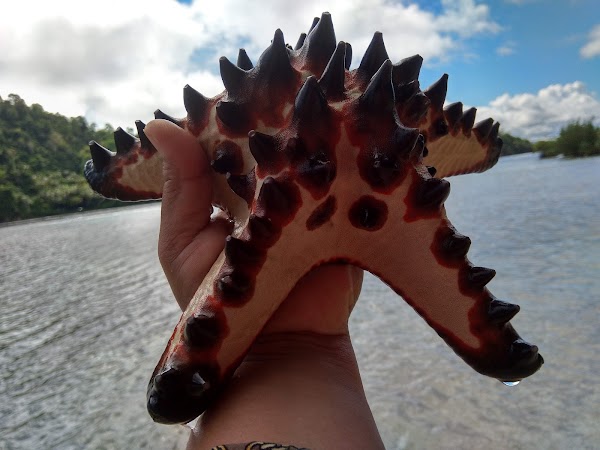 Banggai Laut Regency 2