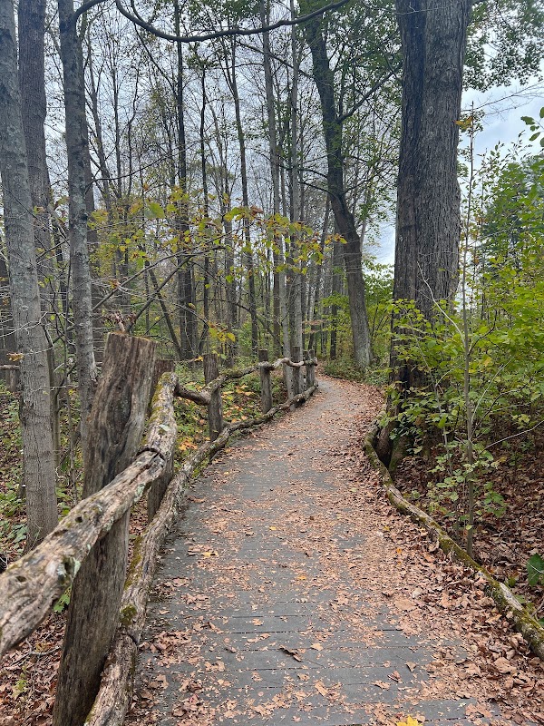 Mary V. Flynn Trail